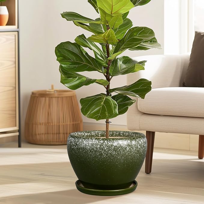Ceramicfor 10 Inch Planter Pot - Image 2