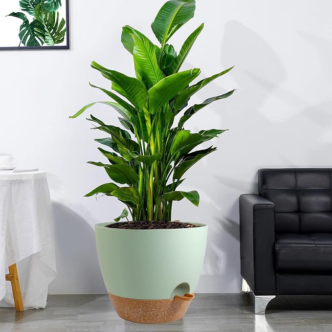 UOUZ 12 inch Large Self Watering Pots, Plastic Planters - Image 6