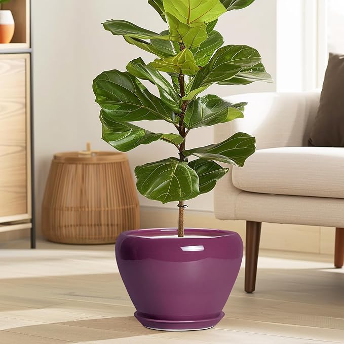 Ceramicfor Ceramic Planter - Image 2