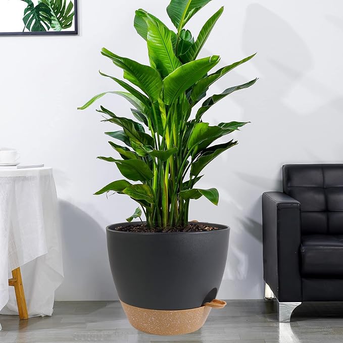 UOUZ 12 inch Large Self Watering Pots, Plastic Planters - Image 6
