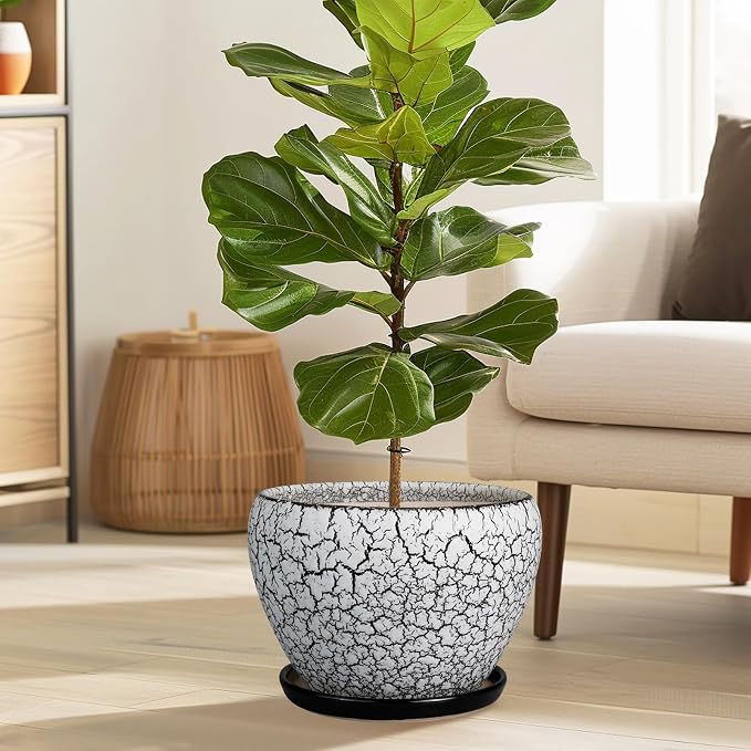 Ceramicfor Ceramic Planters for Indoor Plants - Image 2