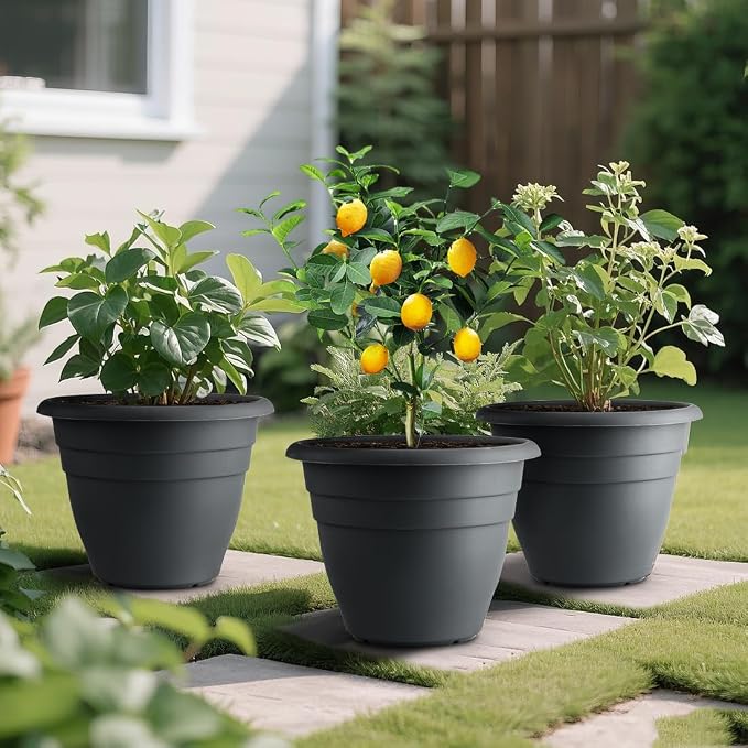 RooTrimmer 12 Inch Plant Pots, Large Planters - Image 2
