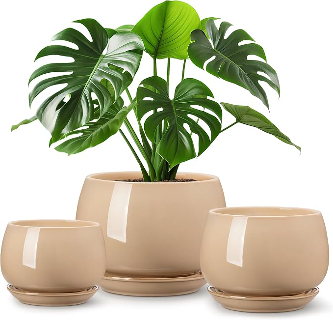 vancasso 3-Pack Ceramic Plant Pots, 7.3/9.6/11.6 Inch Indoor Planters by vancasso