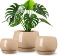 vancasso 3-Pack Ceramic Plant Pots, 7.3/9.6/11.6 Inch Indoor Planters by vancasso