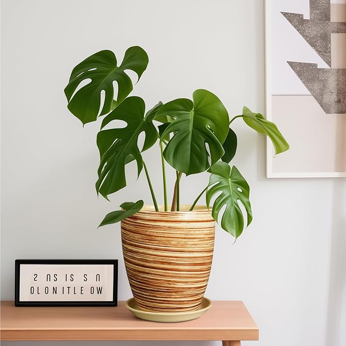 8 Inch Plant Pot, Ceramic Planter - Image 2