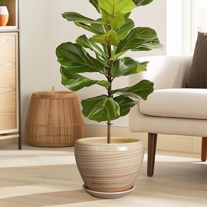 Ceramicfor Planter Pot 8 Inch, Ceramic Pot - Image 2