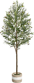Artificial Olive Tree 5.5FT Faux Indoor Decorative Plant | Large Fake Olive by LuceAlberi