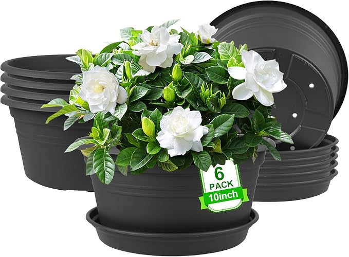 6 Pack 10 inch Plant Pot, Round Plastic Plant Pots by NNARRE