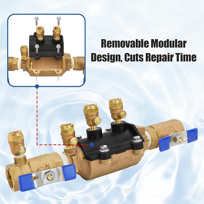 34-350 3/4" Double Check Backflow Preventer, Double Check Valve Assembly | Cast - Image 5
