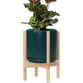 D'vine Dev Ceramic Pot with Natural Wood Stand, 10 in, 55-B-K-4 | Mid-Century by DvineDevPlanterPotsandStand