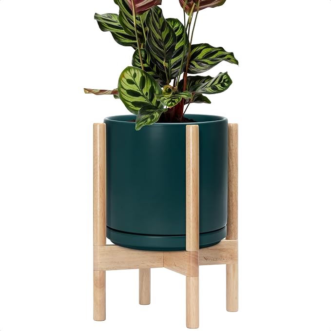 D'vine Dev Ceramic Pot with Natural Wood Stand, 10 in, 55-B-K-4 | Mid-Century by DvineDevPlanterPotsandStand