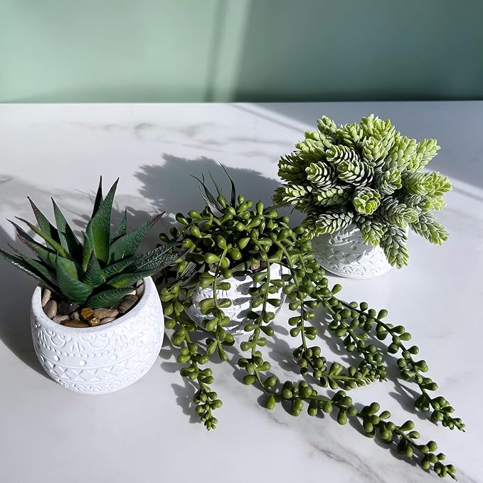 Winlyn 3 Pcs Assorted Small Potted Succulent Plants Artificial Aloe Hanging - Image 6