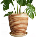 8 Inch Plant Pot, Ceramic Planter by EPFamily