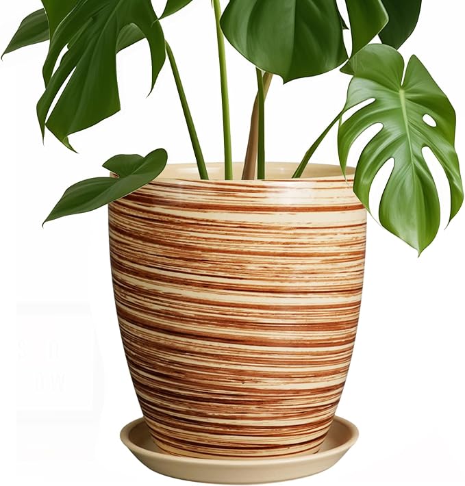 8 Inch Plant Pot, Ceramic Planter by EPFamily
