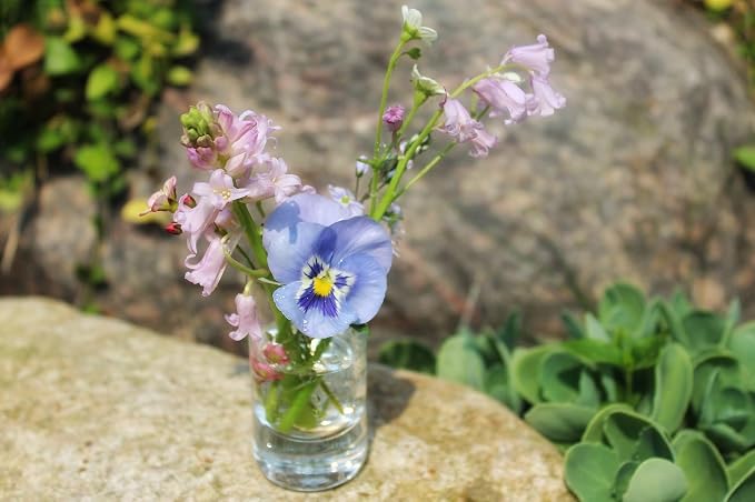 WGVI Quality Thick Clear Cylinder Glass Vase, Floral Container, Glass Candle - Image 9