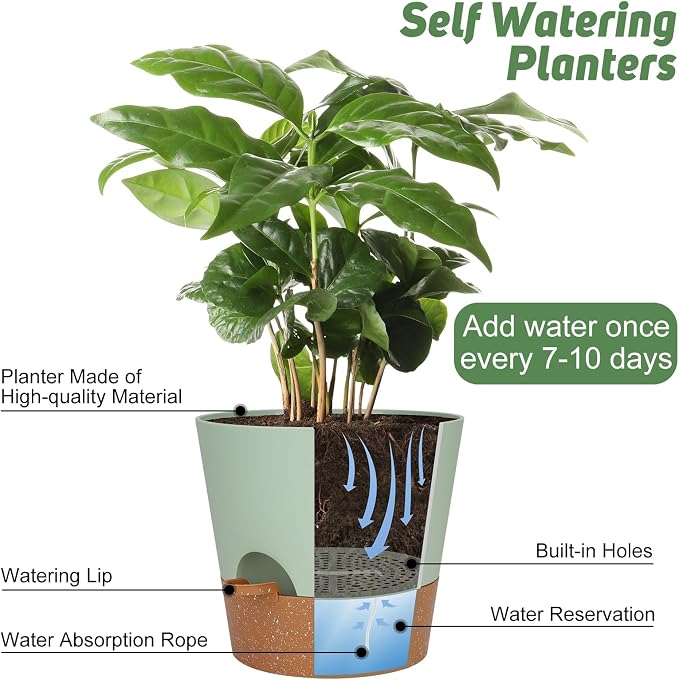 YNNICO 10-Inch Plant Pots, Self-Watering Planters - Image 5