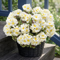 lovemoon 16 Pcs Artificial Geranium Plant by Lovemoon