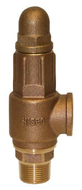 PRVHDNL100 No Lead Heavy Duty Relief Valve, Maximum psi 150 by Unknown