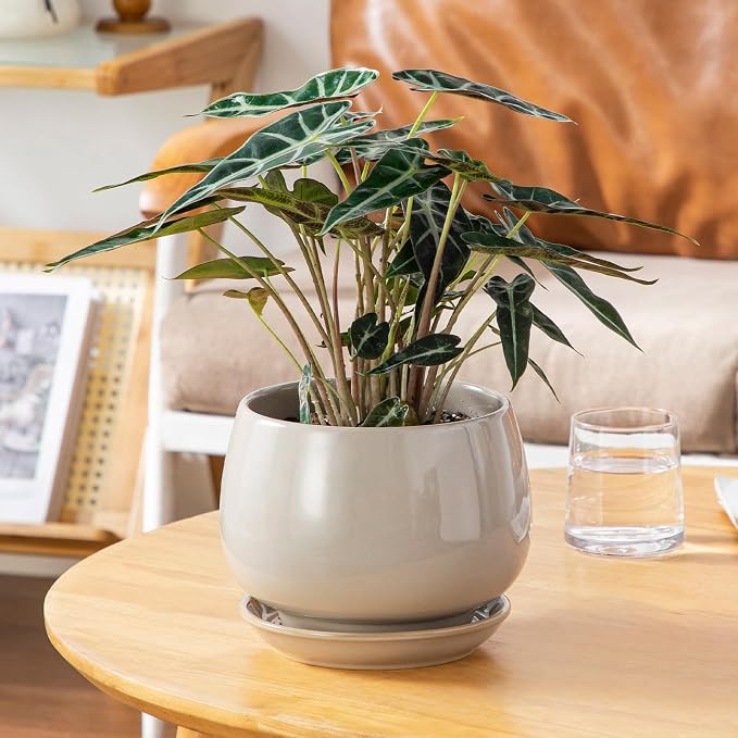 vancasso 3-Pack Ceramic Plant Pots, 3.7/4.8/6.2 Inch Indoor Planters - Image 8