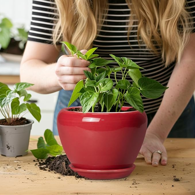 Ceramicfor 6 Inch Plant Pot - Image 6