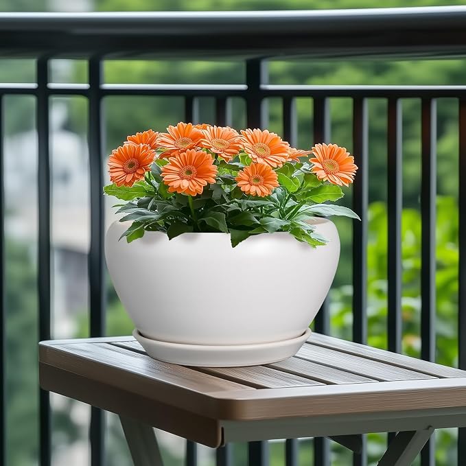 Ceramicfor Ceramic Planter for Indoor Plants - Image 4