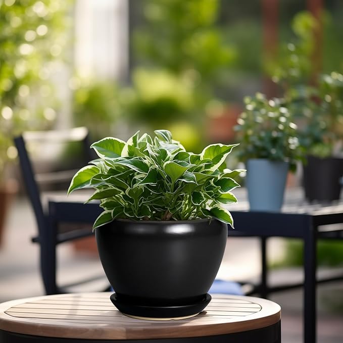 Ceramicfor Ceramic Planter Pot - Image 4