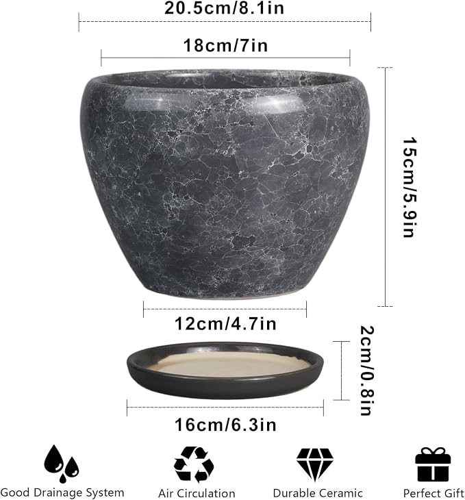 Ceramicfor 8 Inch Plant Pot - Image 3