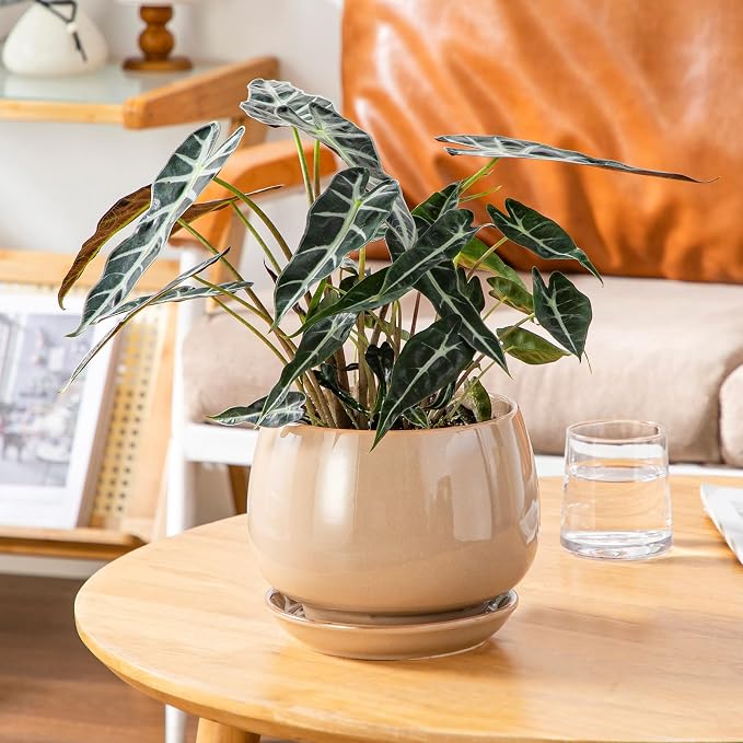 vancasso 3-Pack Ceramic Plant Pots, 3.7/4.8/6.2 Inch Indoor Planters - Image 8