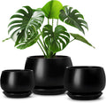 vancasso 3-Pack Ceramic Plant Pots, 3.7/4.8/6.2 Inch Indoor Planters by vancasso