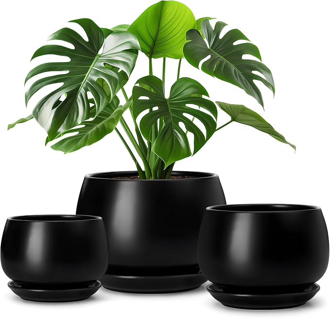 vancasso 3-Pack Ceramic Plant Pots, 3.7/4.8/6.2 Inch Indoor Planters by vancasso