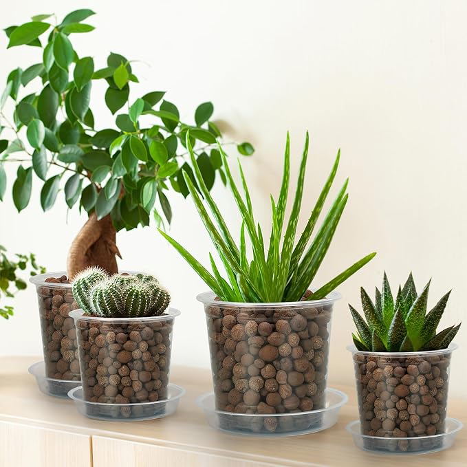 FUIJOL 4/5/6/7 Inch Clear Nursery Pots - Image 6