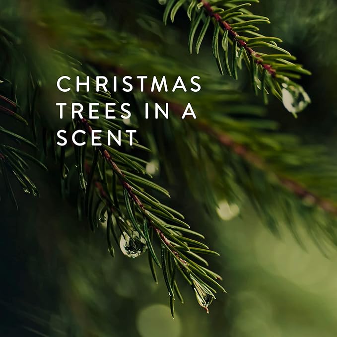 Thymes Frasier Fir Scented Candles - Image 5