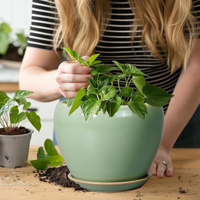 Ceramicfor 8 Inch Plant Pot - Image 5