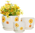 Hlukana Ceramic Plant Pots Set of 3, 6.75/5.6/4.2 inch Planters by Hlukana