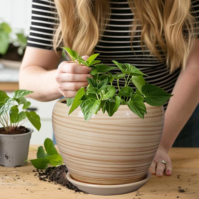 Ceramicfor Planter Pot 8 Inch, Ceramic Pot - Image 4