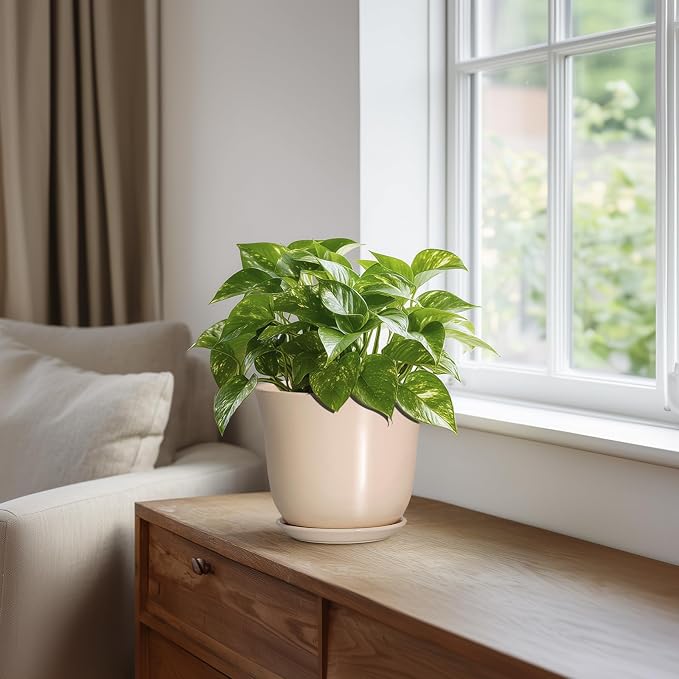 Ceramic Pots for Plants, 5.6 Inch Plant Pot - Image 5