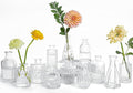 UPBUD Clear Glass Bud Vases Set of 12, Small Vases by UPBUD