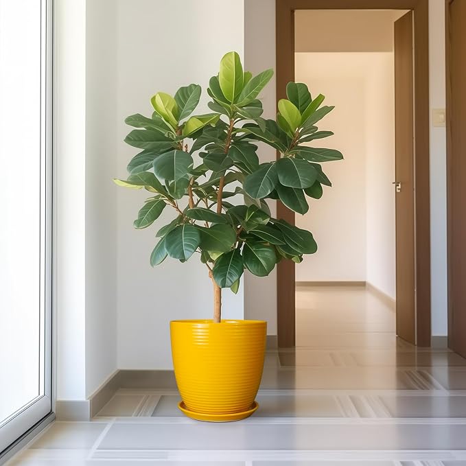 12 Inch Pots for Plants - Image 5