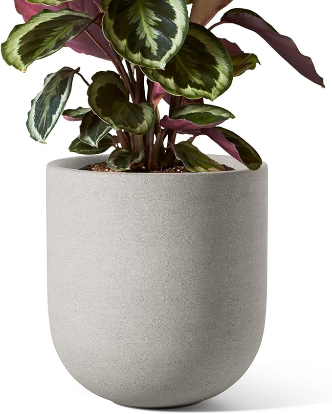 LE TAUCI 8 Inch Plant Pot, Ceramic Pot by LETAUCI