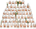 Glass Bud Vase Set of 60 by Ulodimi
