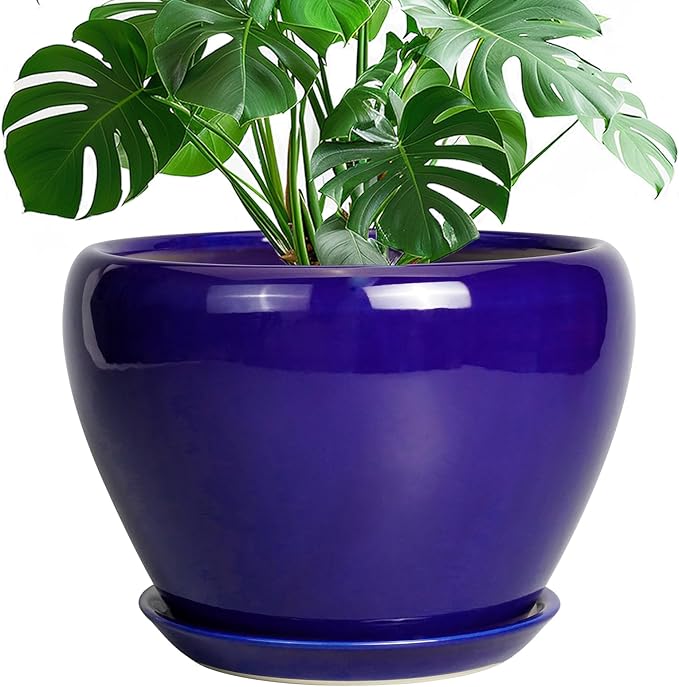 Ceramicfor Ceramic Planter 10 Inch, Indoor Plant Pot by Ceramicfor