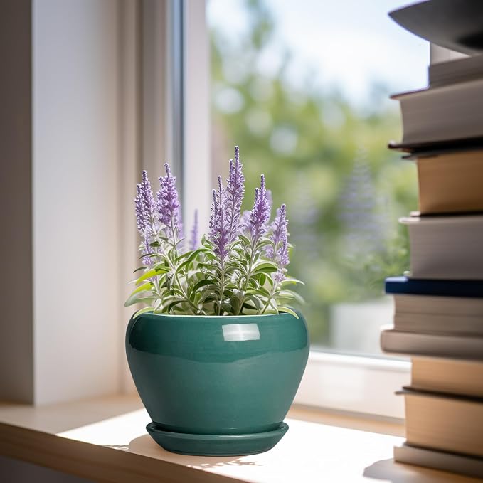 Ceramicfor Indoor Plant Pot 6 Inch - Image 2