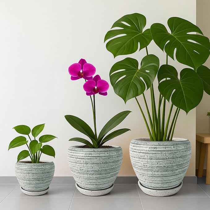 Deep Dream 6 Inch Plant Pots- Ceramic Planter Pot - Image 7