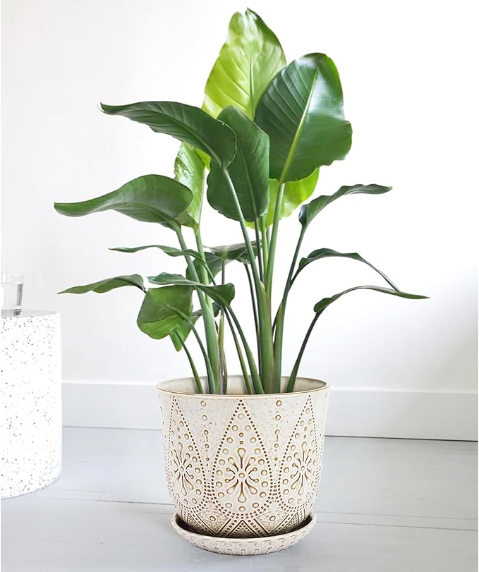 Gepege 10 Inch Ceramic Plant Pot - Image 7