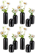 Hewory Glass Bud Vases for Flowers: 12PCS Modern Black Small Vases Bulk | Mini by Hewory
