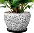 Ceramicfor Ceramic Planter Pot by Ceramicfor