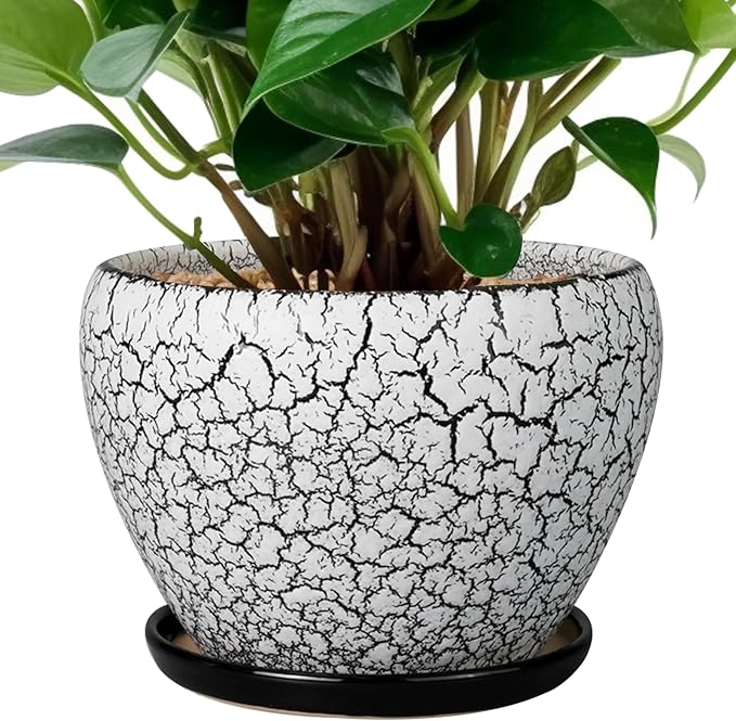 Ceramicfor Ceramic Planter Pot by Ceramicfor