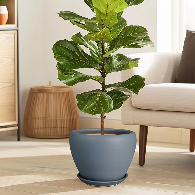 Ceramicfor Ceramic Pot for Plants, 8 Inch Plant Pot, Matte Gray | Plant Pots - Image 2