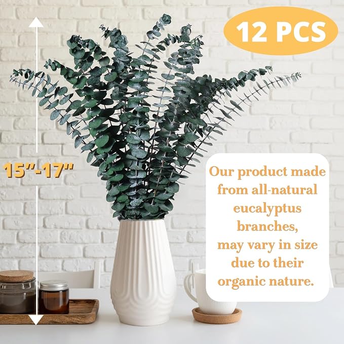 12PCS Dried Eucalyptus for Shower Hanging Real Preserved Eucalyptus Stems | - Image 2
