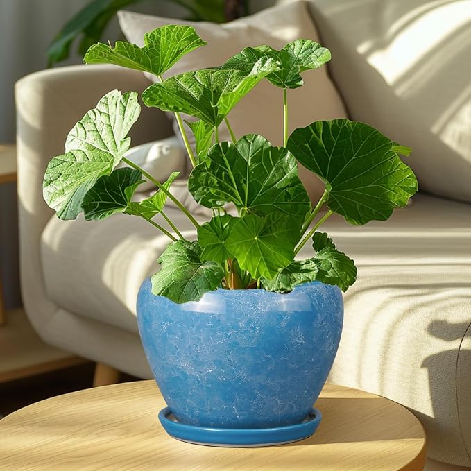 Ceramicfor Ceramic Planter - Image 2